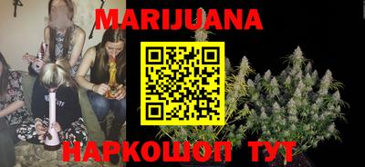 крисы Моздок