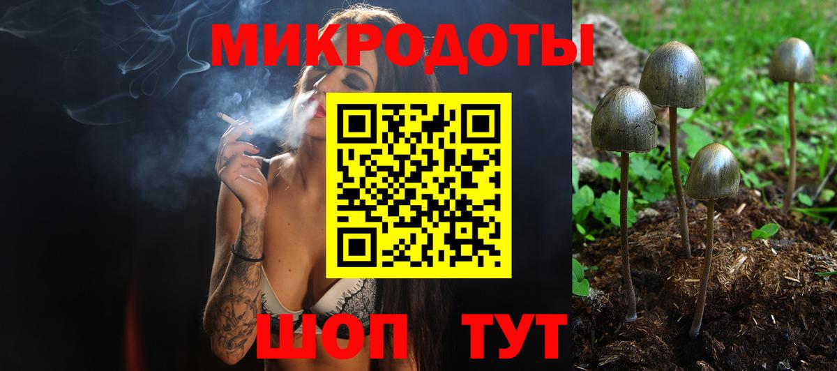 Татарск  Псилоцибиновые грибы GOLDEN TEACHER  Вход с VPN  Галлюциногенные грибы Cubensis 