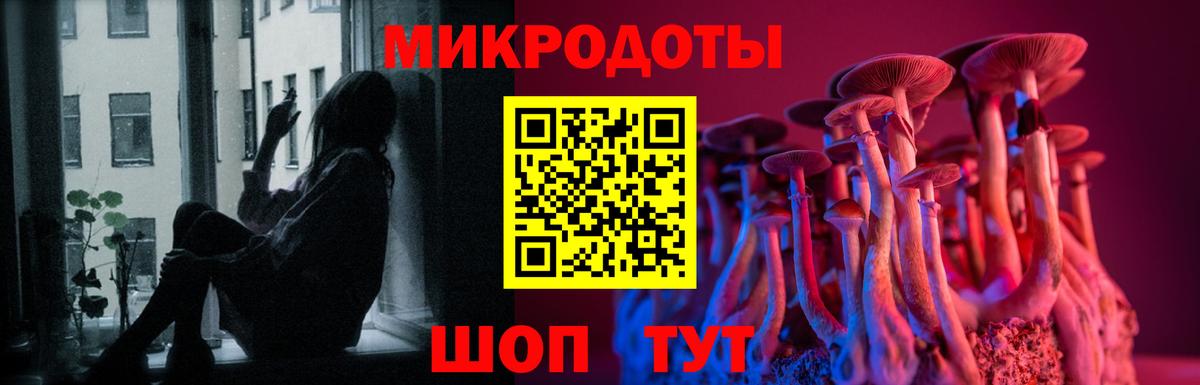 Псилоцибиновые грибы MAGIC MUSHROOMS Татарск